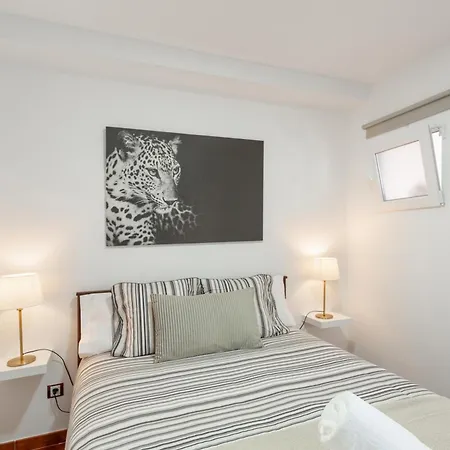 Casa Alejandro Daire